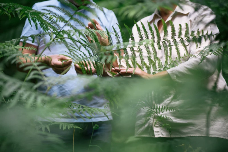 Nah aufnahme von händen, die durch pflanzen streichen
